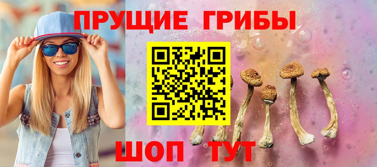 Псилоцибиновые грибы Cubensis Рубцовск