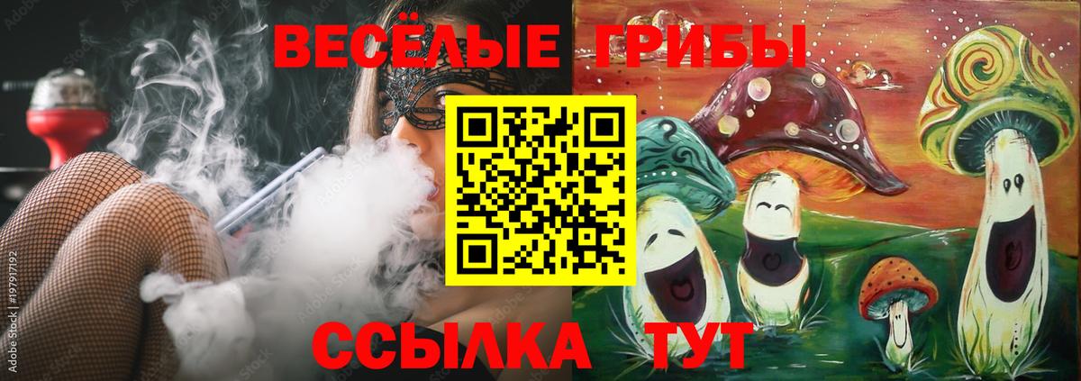даркнет сайт  Псилоцибиновые грибы ЛСД  Вход с VPN  Псилоцибиновые грибы ЛСД  Рубцовск 